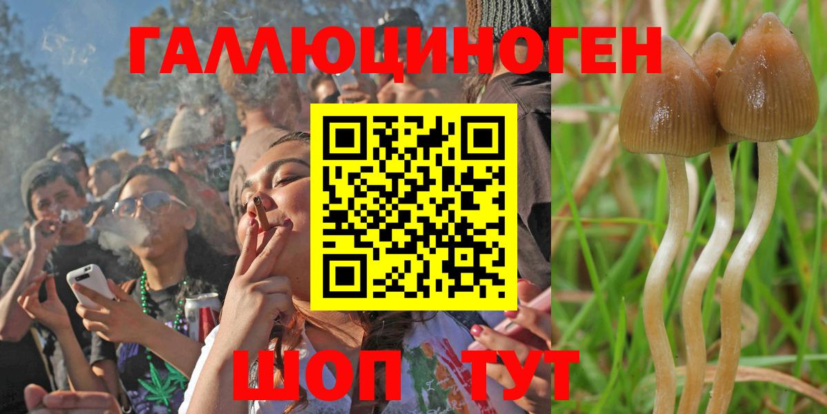 Галлюциногенные грибы GOLDEN TEACHER Обь
